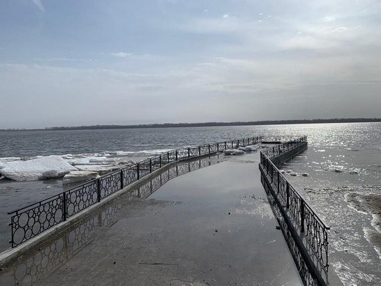     Фото: министерство информации и массовых коммуникаций Саратовской области