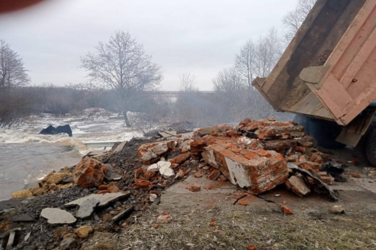    В министерстве автодорог Тамбовской области назвали причины обвала моста