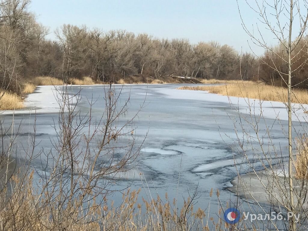 Какой уровень воды в урале в илеке