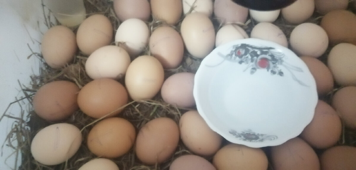 Керомическая чашка наполненая водой. 