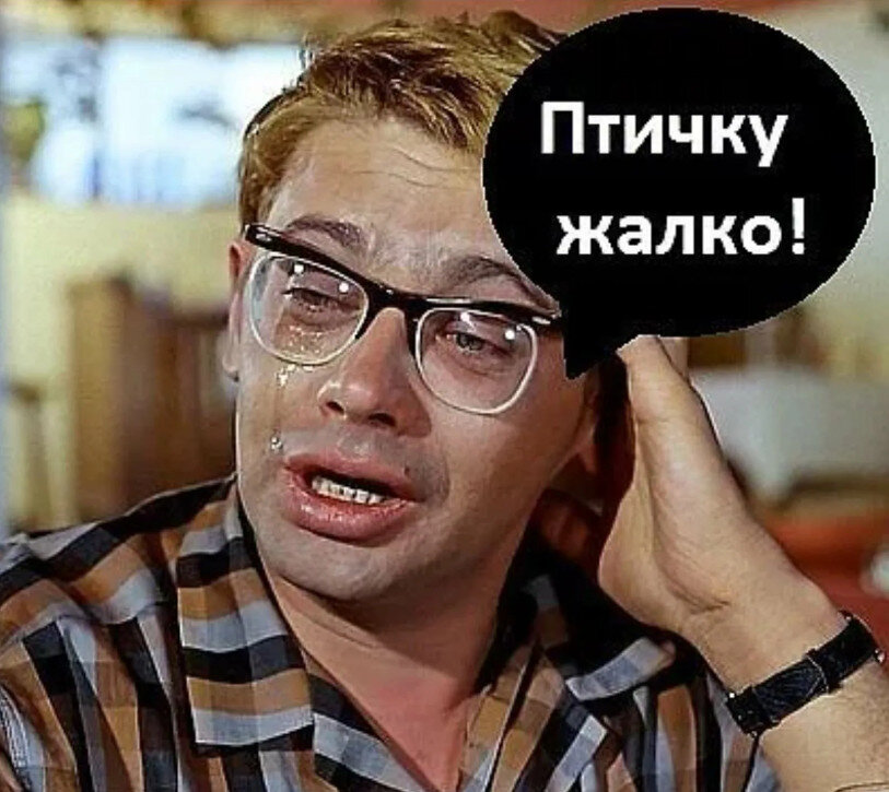 Фото из интернета.