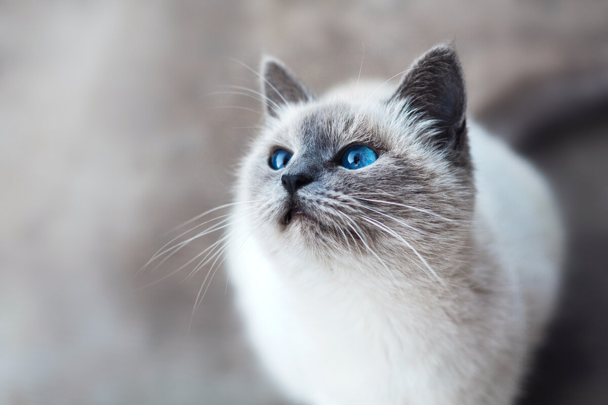 Mikhail Vasilyev/ unsplash.com 