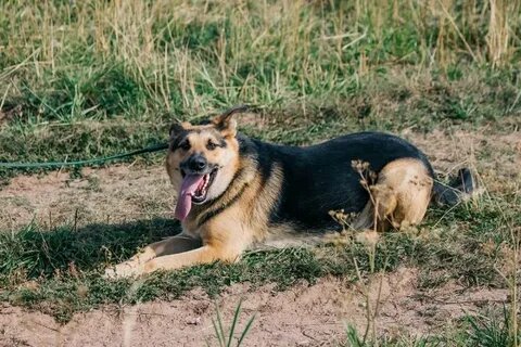 пострадав в аварии, он оказался ни кому не нужен