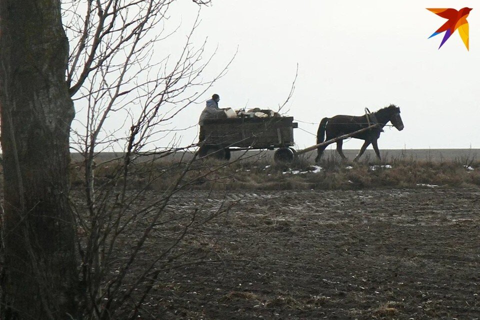     День Конона Огородника отмечают 18 марта. Павел МАРТИНЧИК