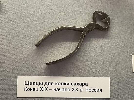     Фото: crimea.mk.ru