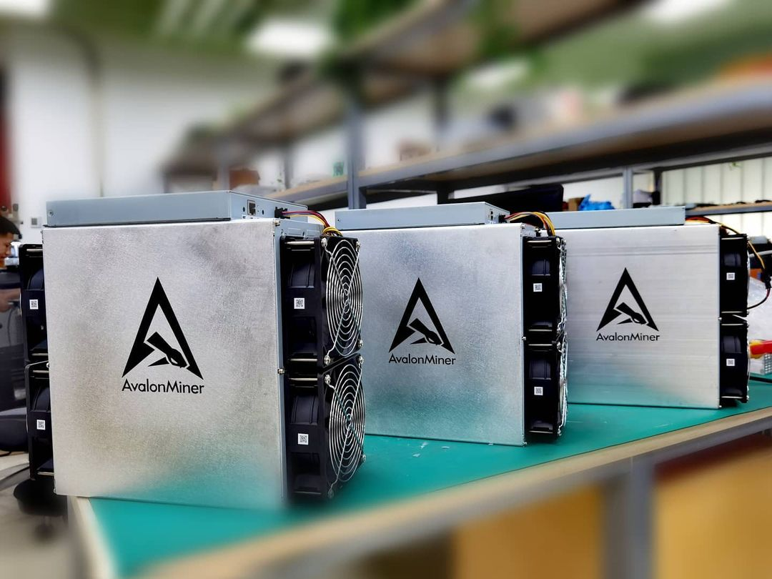 Асик авалон. AVALONMINER 1246-85. Avalon 1246. Avalon 1246 90th. Avalon Miner a1126 Pro 60th/s.