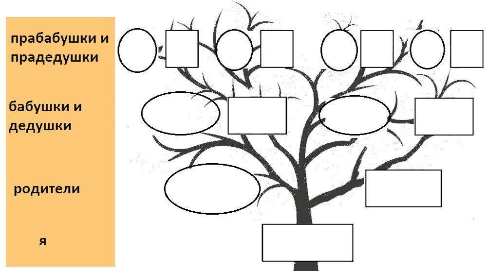 Как нарисовать генеалогическое дерево семьи карандашами поэтапно