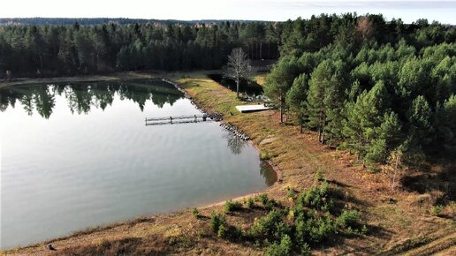 Над прудом и лесом. Летаю на квадрокоптере