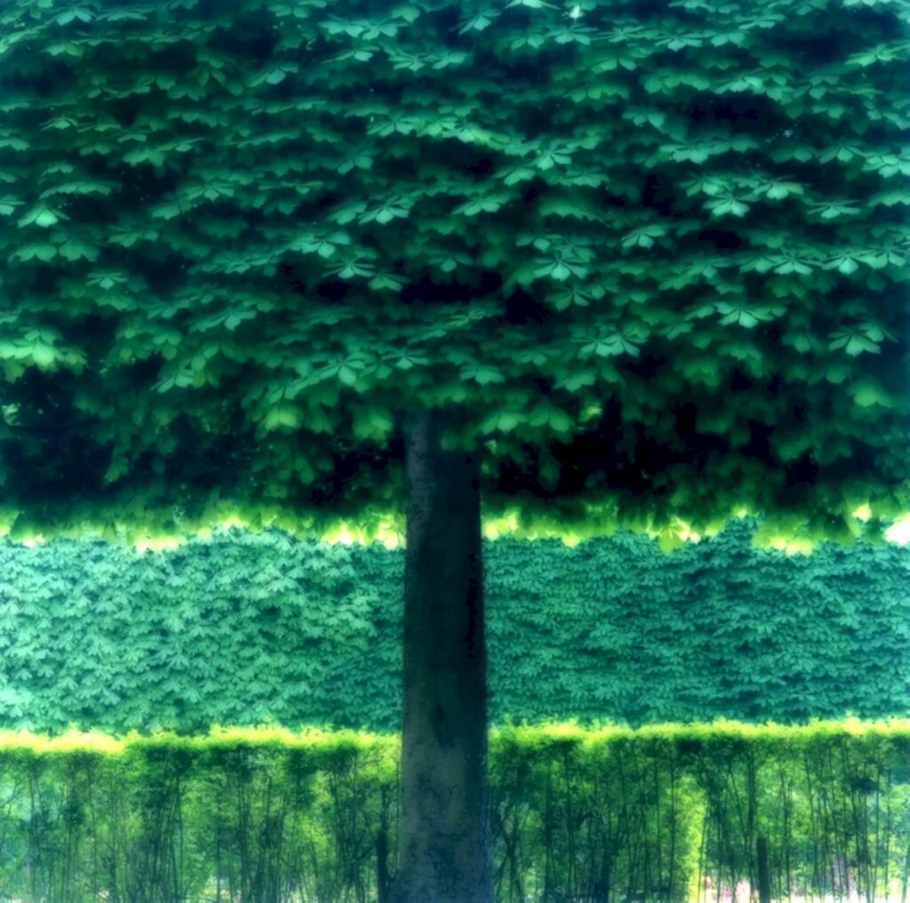     Фото: Lynn Geesaman