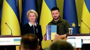    Фото: ianed.ru Наталья Анисеева