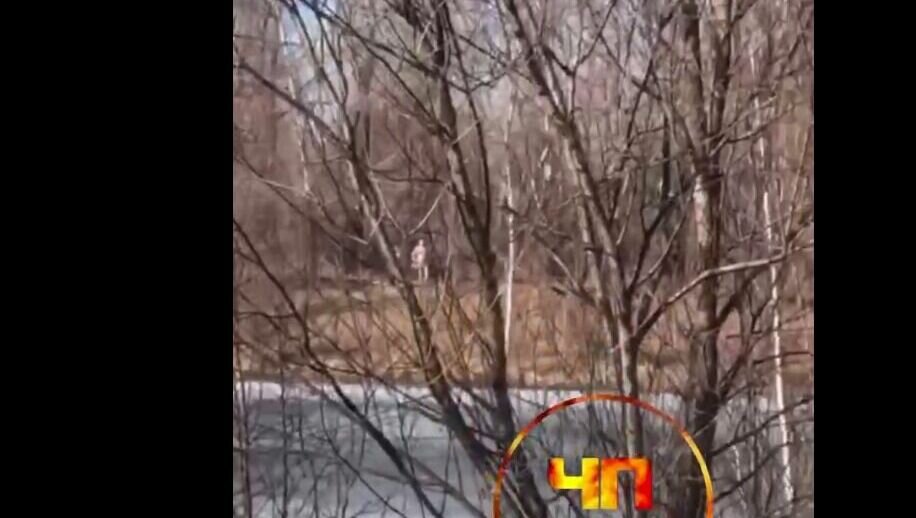     В абаканской зоне отдыха заметили голого мужчину. Девушки-очевидцы говорят, что он часто мастурбирует на улице.