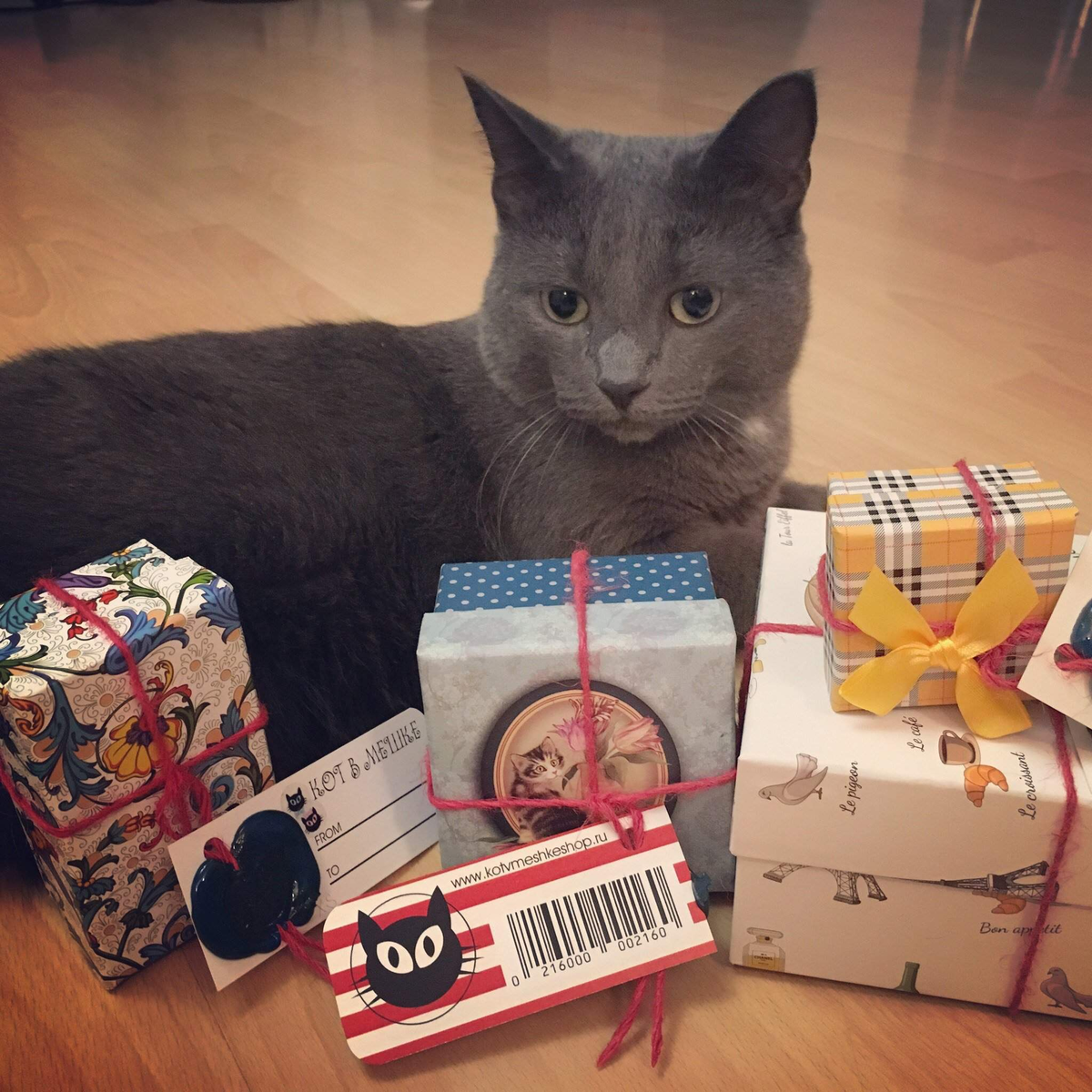 Подарки для любителей кошек