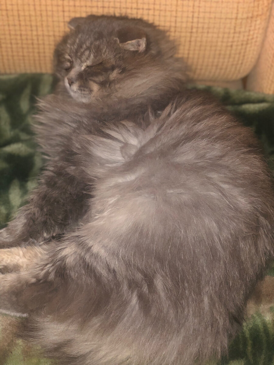 Жизнь - боль. 