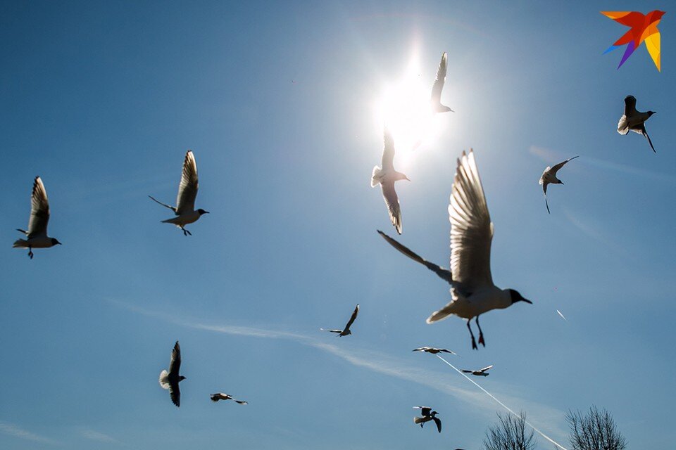     Павел Глоба перечислил самые опасные месяцы 2023 года. Павел МАРТИНЧИК