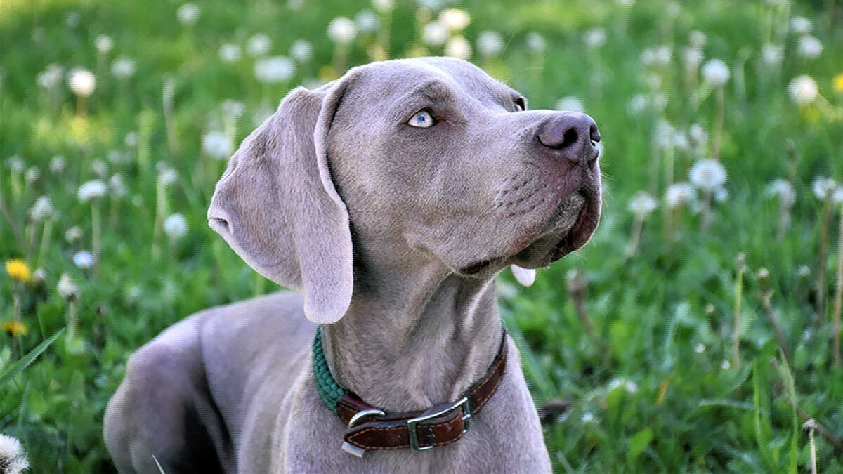 источник фото: s1.stc.all.kpcdn.net