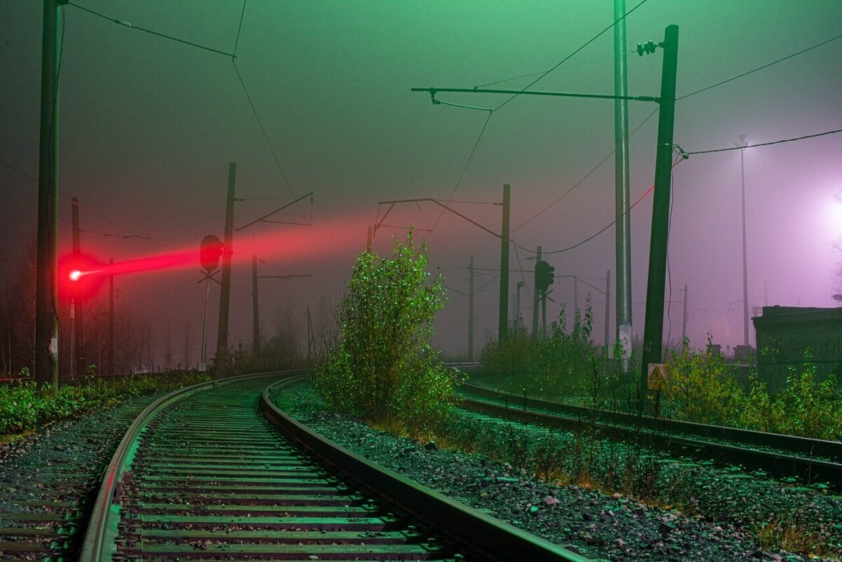 фото с открытых источников