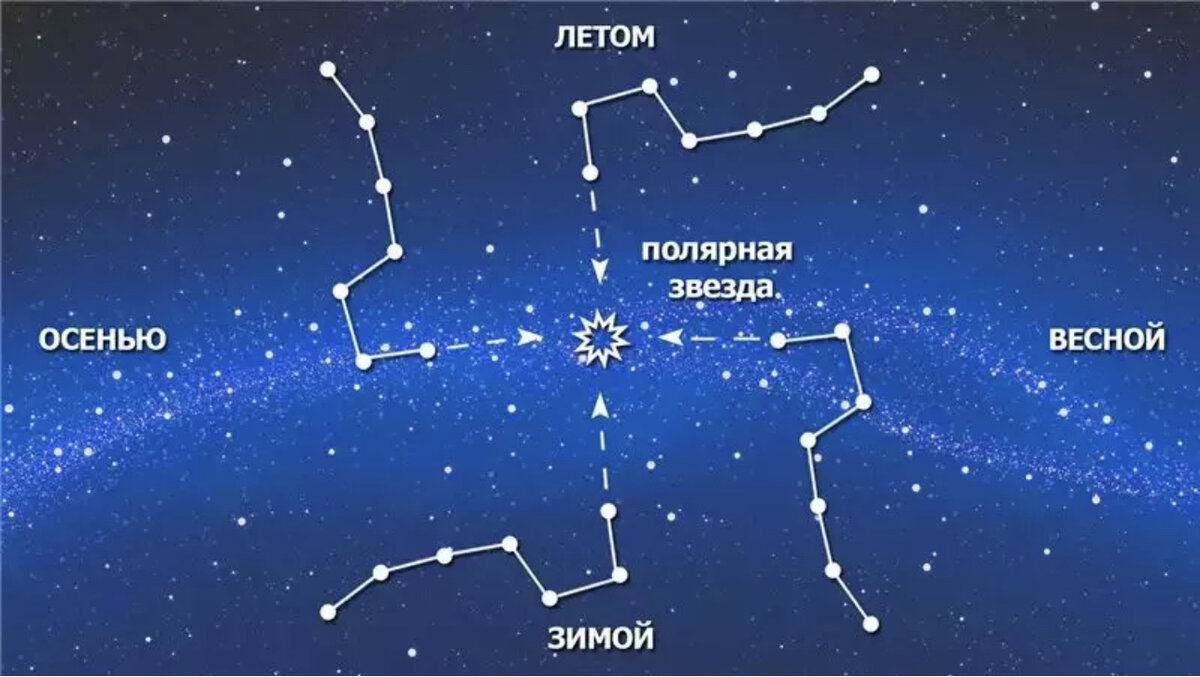 Большая медведица осенью зимой весной летом картинки