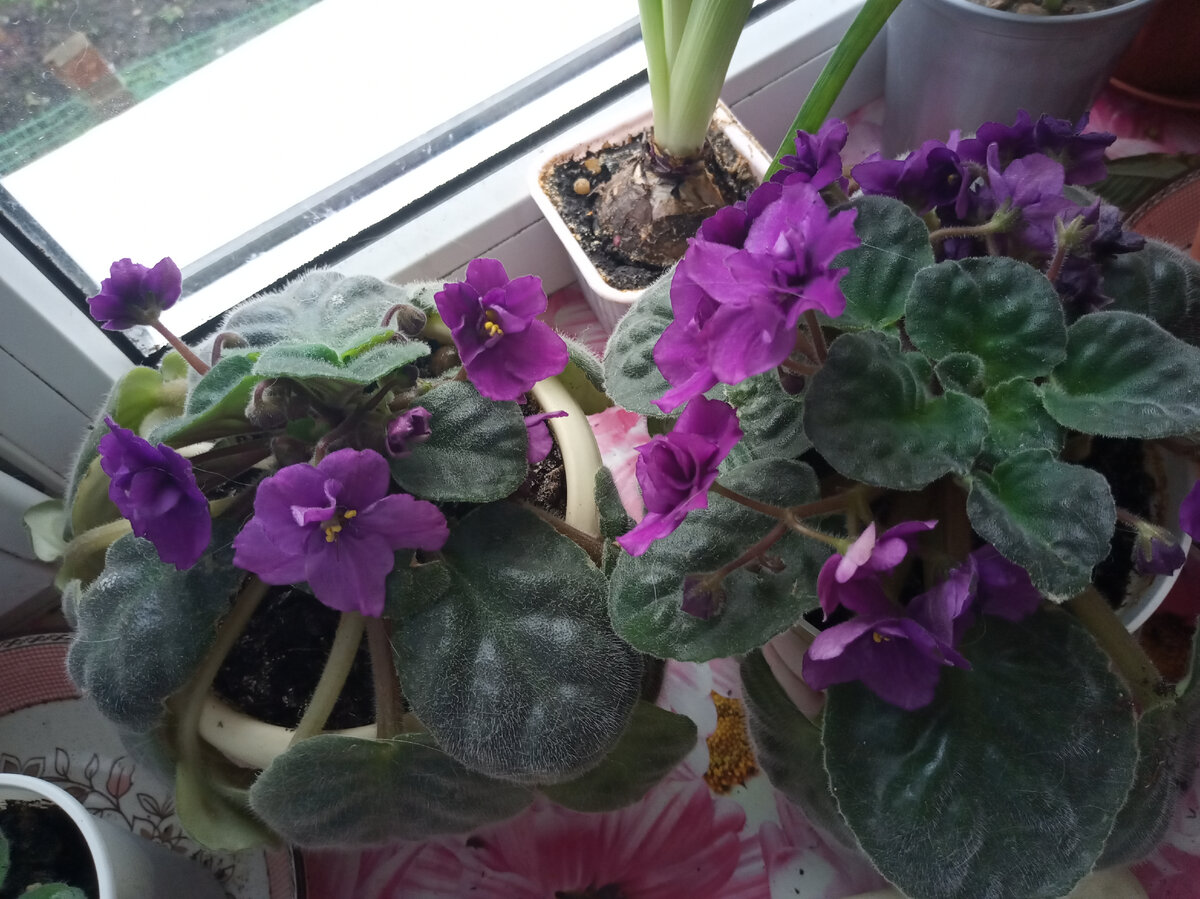 Фото автора. 