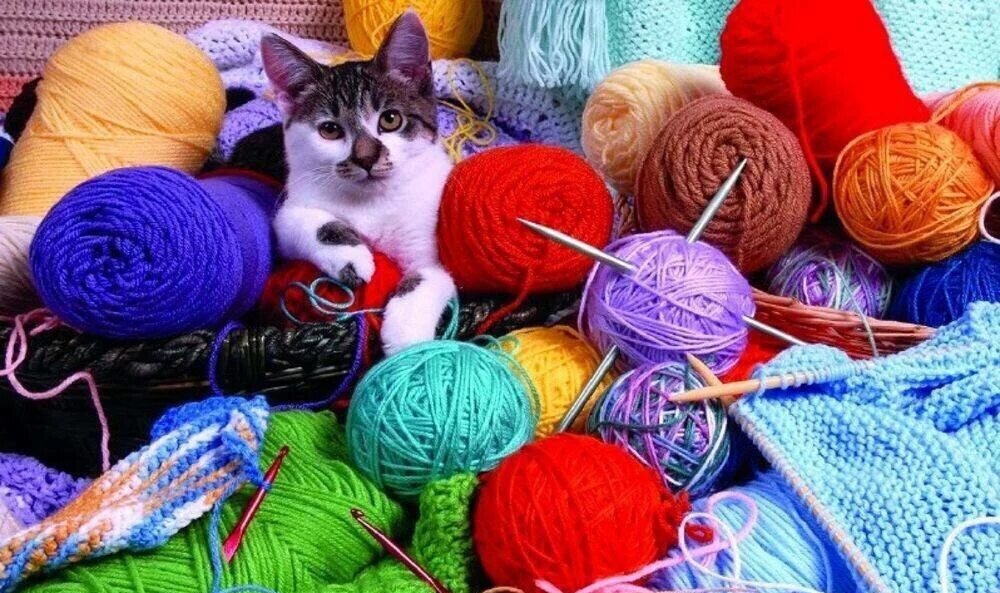 Фото из сети Интернет