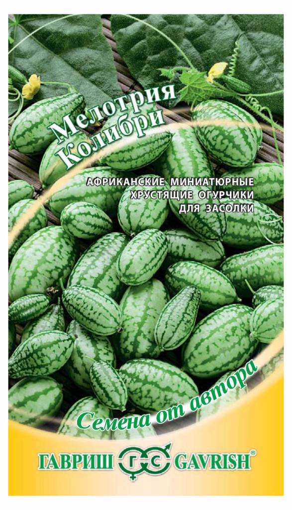 Милотрию в народе называют мышиным арбузом