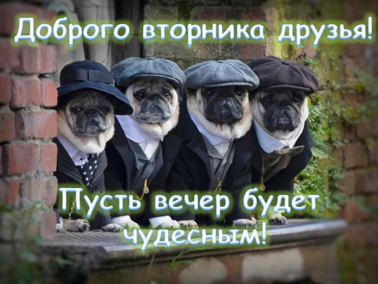 Однозначно не моё фото. 
