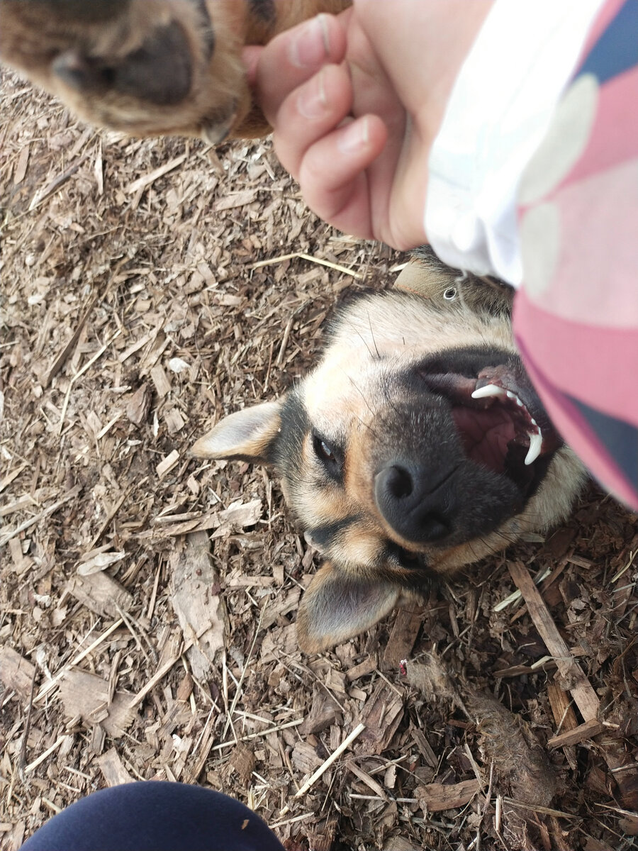 Кусь - второе счастье))) для кусающего, разумеется.