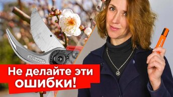 Три главных правила обрезки плодовых! Следуйте им и всегда будете с урожаем