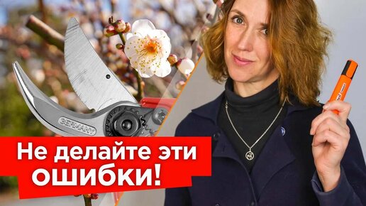 下载视频: Три главных правила обрезки плодовых! Следуйте им и всегда будете с урожаем