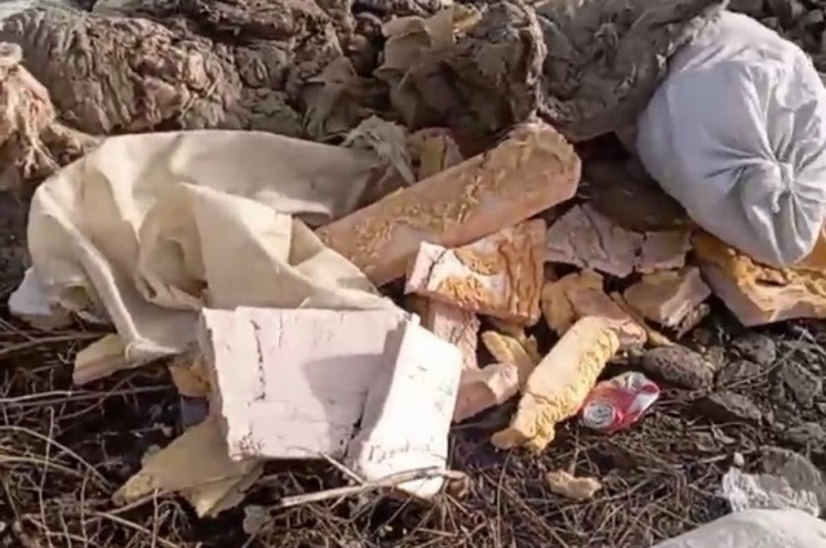    Горы мусора вместо котельной возмущают жителей села в Хабаровском крае