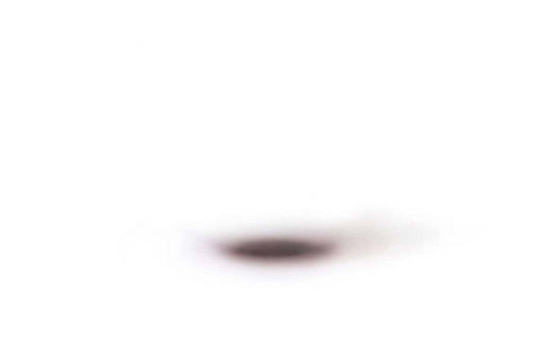    world_record_egg