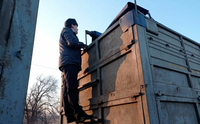    Россельхознадзор Оренбуржья пресек 8 попыток незаконного вывоза зерна в Казахстан Кристина Просвиркина