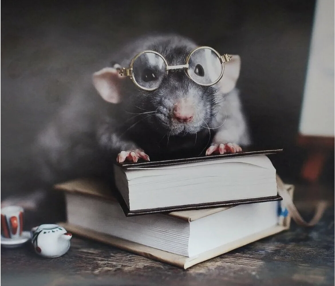 Ученая мышь