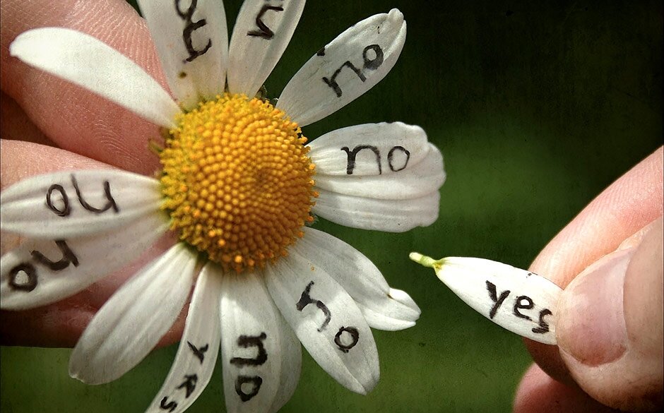 источник Яндекс-картинки