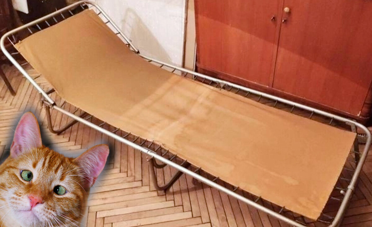 Фото с просторов интернета