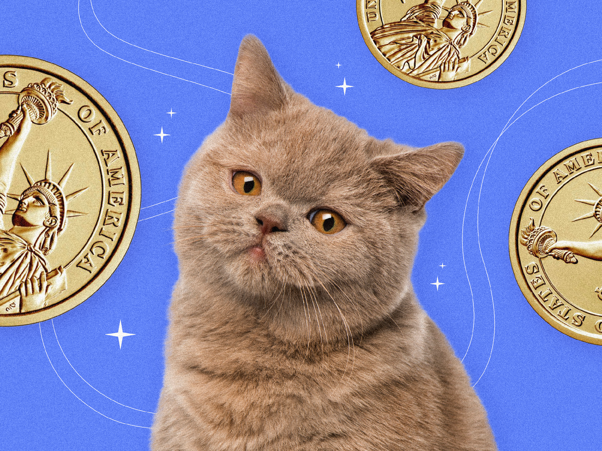 «Скупили рекордное количество валюты»: почему ЦБ продлил действие валютных ограничений и как это повлияет на россиян