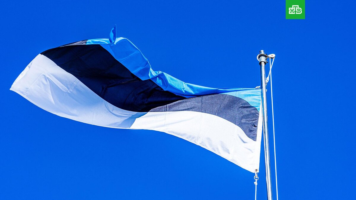    Фото: chris_robert / unsplash.com