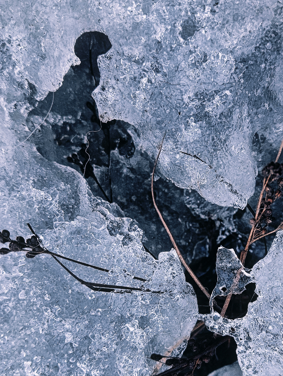Фото razinaphoto.ru