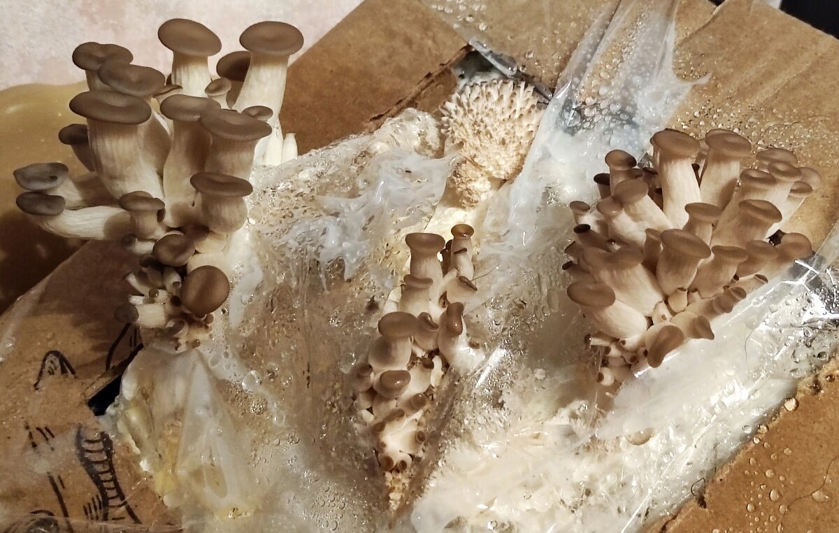 День первый