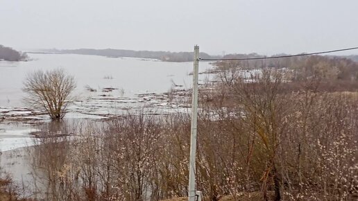 Уровень воды в оке орел