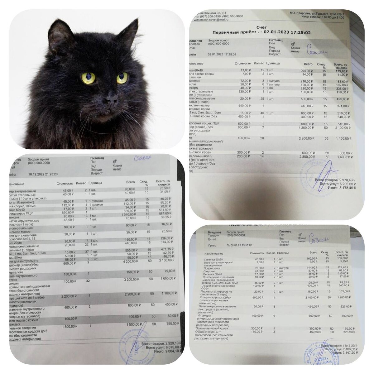 Стасик ласковейший кот, добрейшее создание с пушистой душой, но с такими диагнозами дом ему найти будет очень сложно 😔