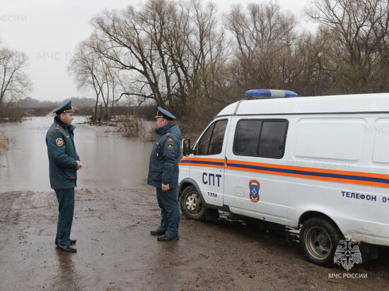     фото: МЧС по Тульской области.