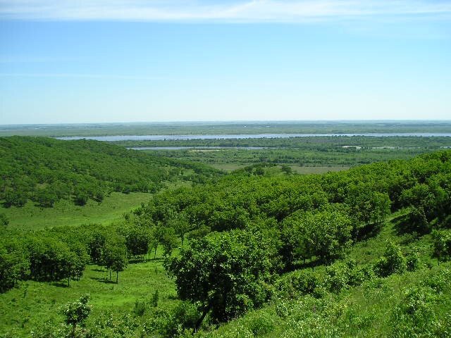 Земля богата, но неухожена.