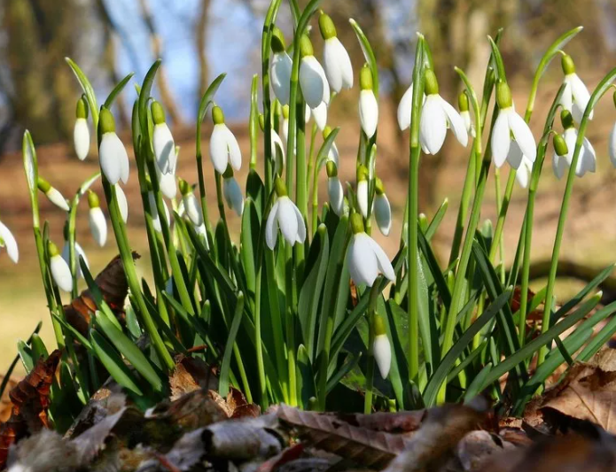 картинка из открытых источников 