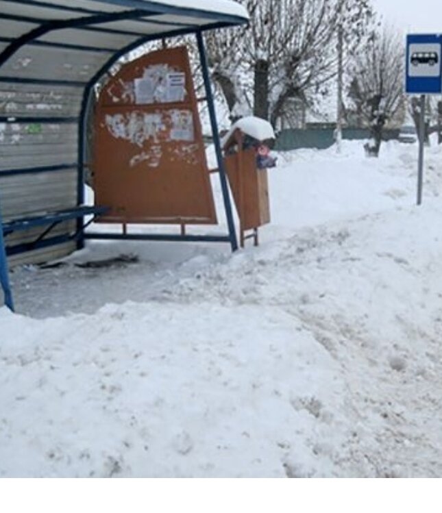 Фото из интернета 