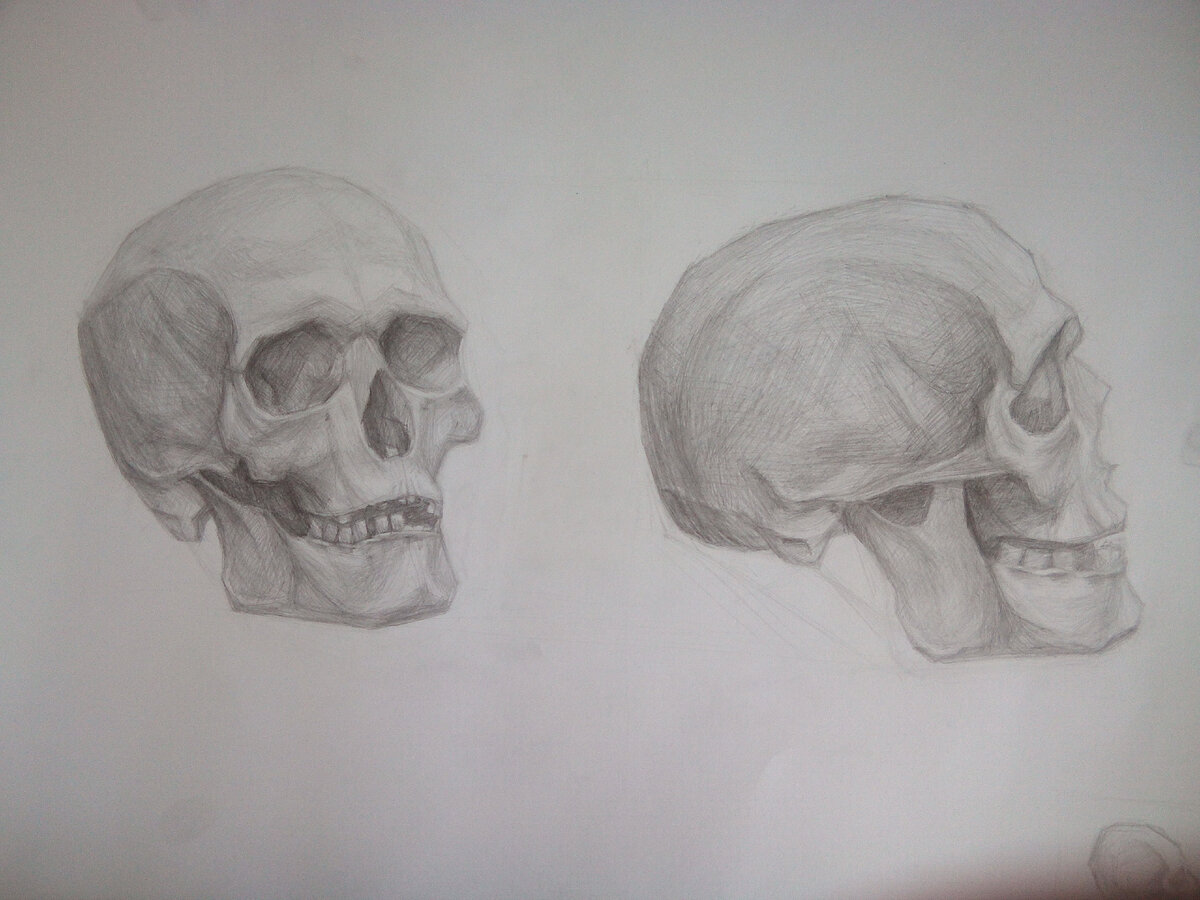 Рисунок неизвестного студента.