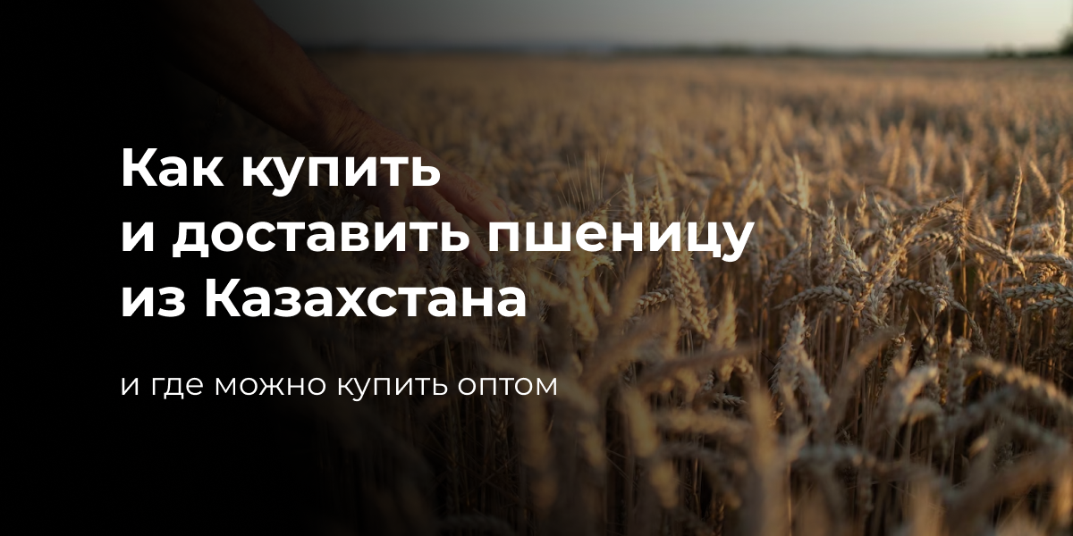 Экспорт пшеницы из Казахстана