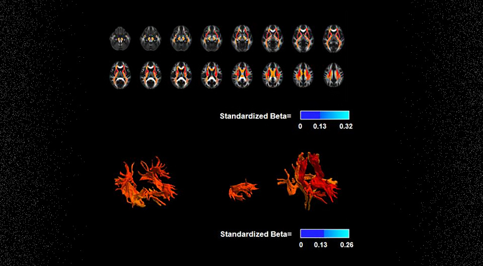   Tomasz J. Guzik et al. / European Heart Journal, 2023; N + 1