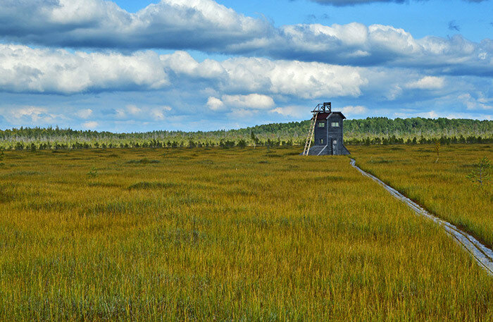    Фото: «Край справедливости Тверь»/«ВКонтакте»