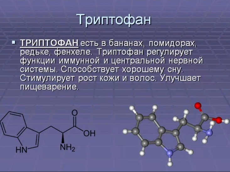 Триптофан функции аминокислоты. Триптофан роль в организме. Триптофан функции в организме человека. Триптофан Синтез аминокислоты.