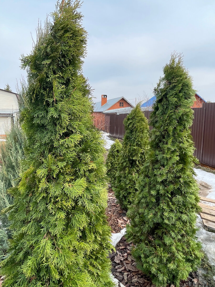 26 марта 2023 г